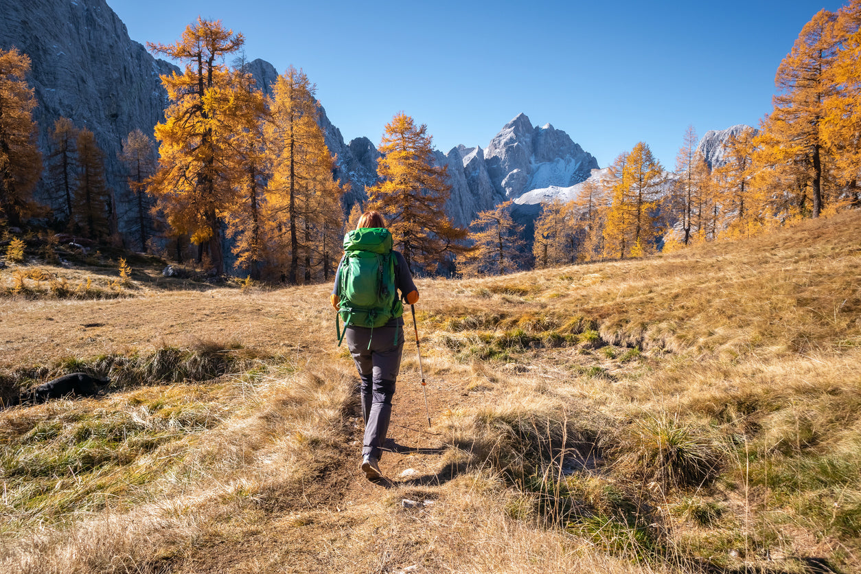 High Protein Snacks for Winter and Fall