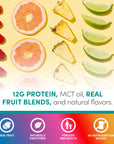 Protein Smoothie - Mixed Variety 12 Pack (8262223790306)