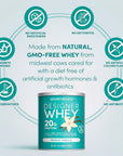 Vanilla Designer Whey 12 oz : 100% Whey Protein Powder- Designer Protein ®