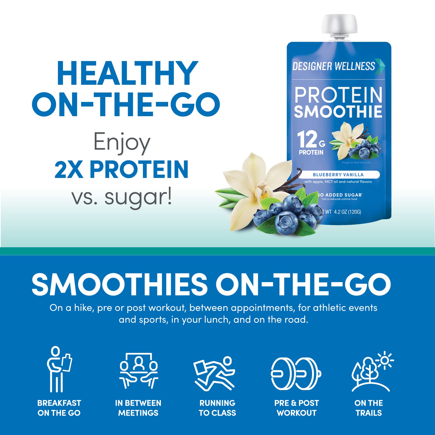 Protein Smoothie - Blueberry Vanilla 12 pack (7939644915938)