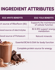 Ingredient attributes for Designer Egg Dutched Chocolate. Egg white benefits: rich source of riboflavin B2, good source of electrolytes, good source of potassium. Egg yolk benefits: supports cellular function, B2 and B12 support energy metabolism, natural minerals. Both provide essential BCAA and EAA and a complete protein source.
